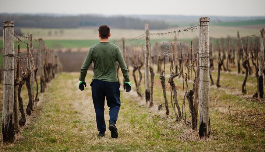 Prozkoumejte kouzlo Wachau v sousedním Rakousku